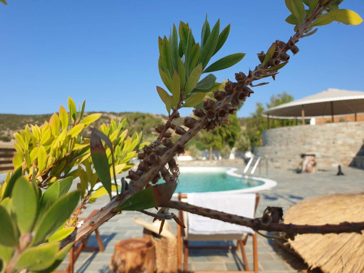 Anassa Cycladic Village Galissas Exteriör bild
